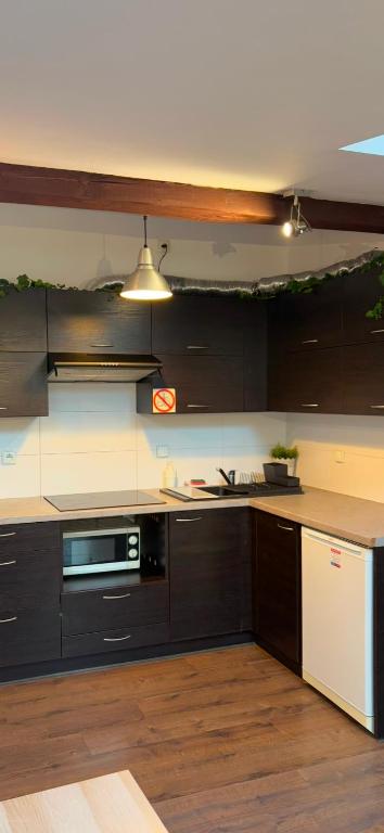 Kuchyňa alebo kuchynka v ubytovaní Apartament Szafir 4b