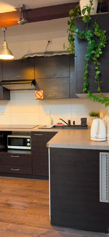 Kuchyňa alebo kuchynka v ubytovaní Apartament Szafir 4b