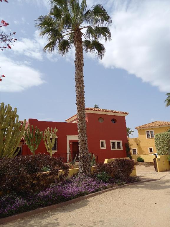 a palm tree in front of a red building at Desert Springs Golf Course and Resort, Almería, Spain, 11 The Powderhorn in Cuevas del Almanzora
