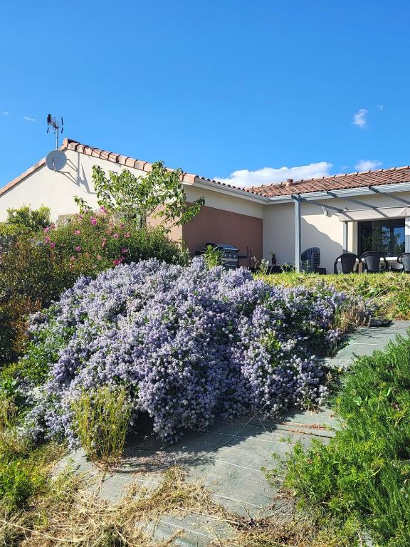 une brousse de fleurs violettes devant une maison dans l'établissement Villa au coeur du village de Castanet, à Castanet