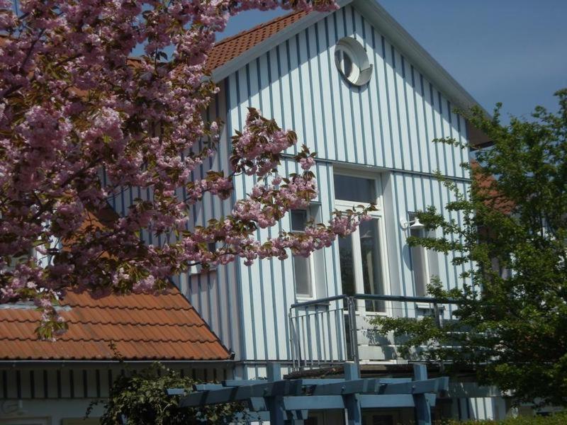 a building with a flowering tree in front of it at Ferienwohnung Döbbelin in Prerow