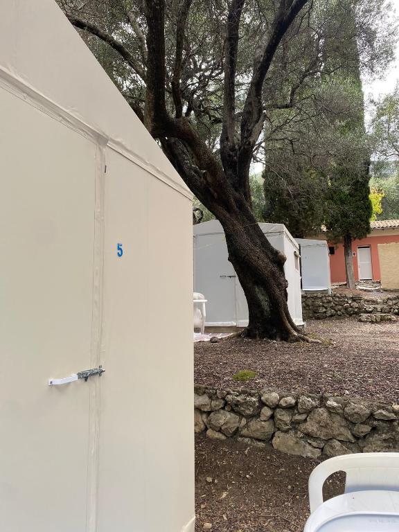 Fotografia z galérie ubytovania Camping Paleokastritsa v destinácii Paleokastritsa