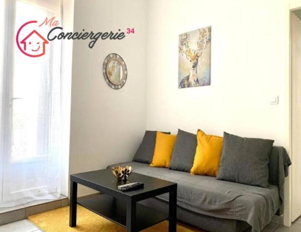 un salon avec un canapé et une table dans l'établissement Appartement confort centre-ville St Roch, à Montpellier