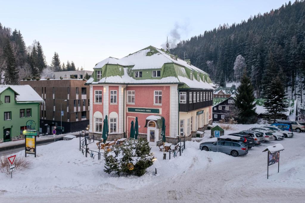 Hotel Hořec v zimě