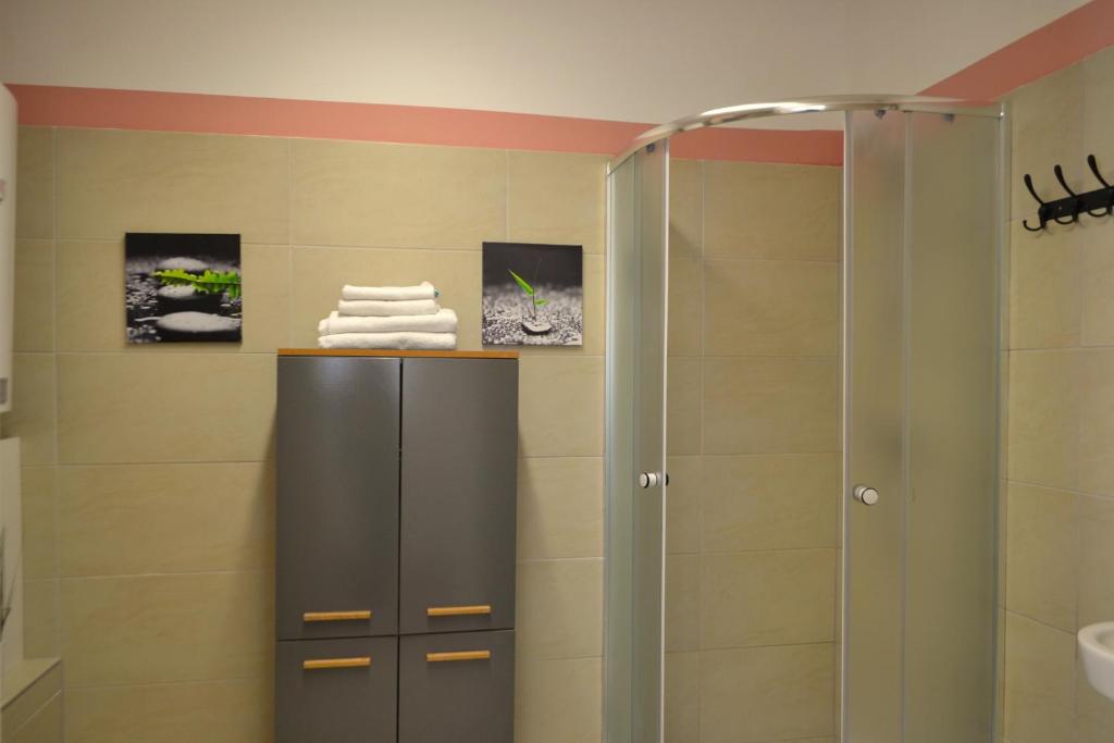 a bathroom with a shower and a sink at Ferienwohnungen Halbturn in Halbturn
