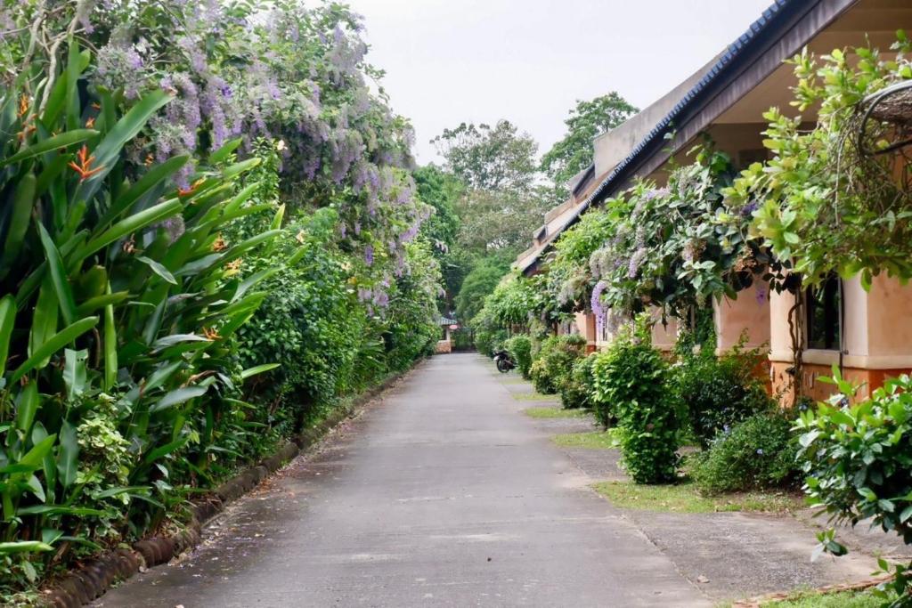 Chalet De Palm Resort ???????????? ??????? - Resim 21