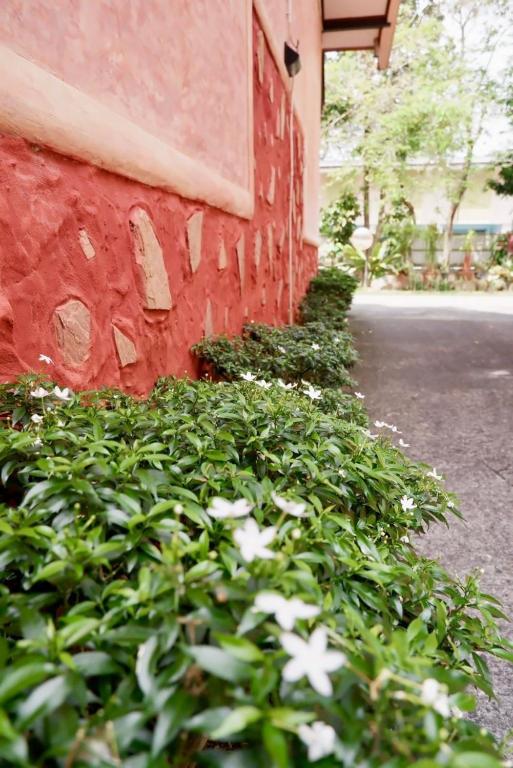 Chalet De Palm Resort ???????????? ??????? - Resim 22