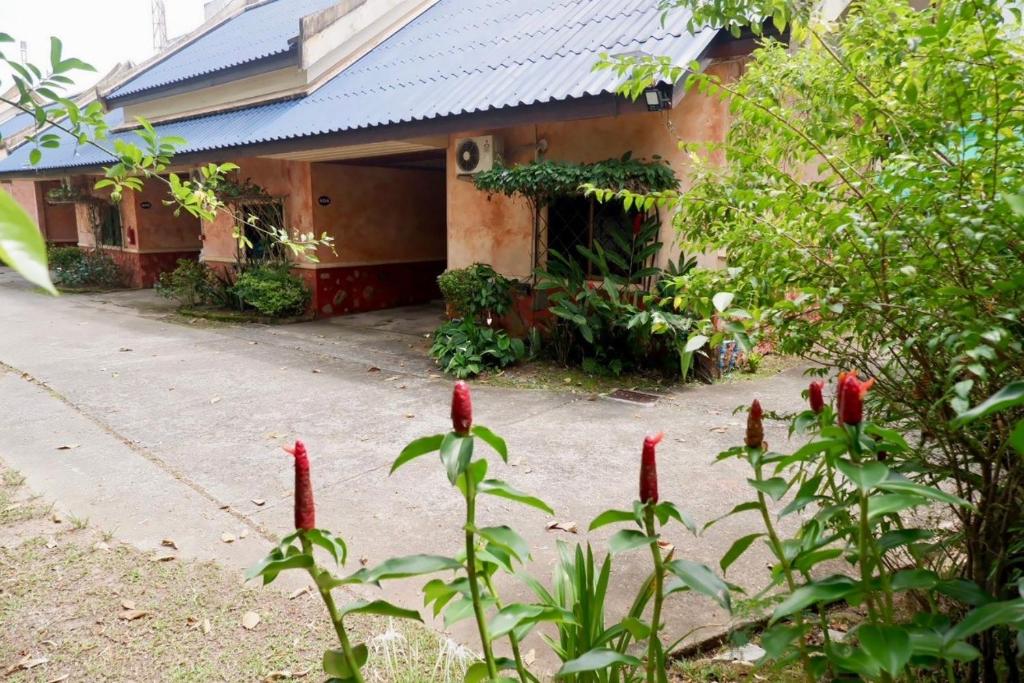 Chalet De Palm Resort ???????????? ??????? - Resim 23