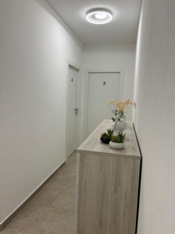 *Veranda's rooms* - Free parking in central Lugano - Resim 35
