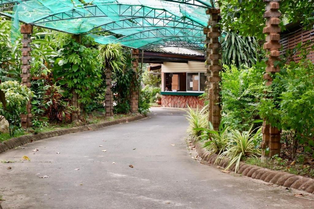 Chalet De Palm Resort ???????????? ??????? - Resim 6