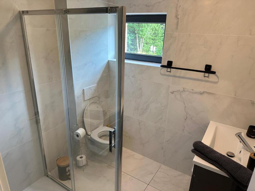 a bathroom with a shower with a toilet and a sink at Grange de l'ancienne école avec Jacuzzi privé in Gérardmer