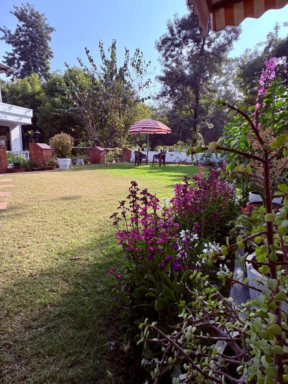 Zahrada ubytování The Stay Inn New Delhi