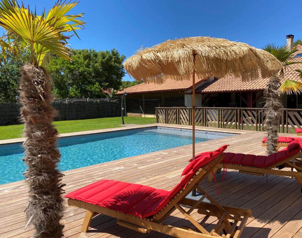 une paire de chaises et un parasol à côté d'une piscine dans l'établissement Villa Valhalla - 400m from beach, sauna and big heated pool, à Labenne
