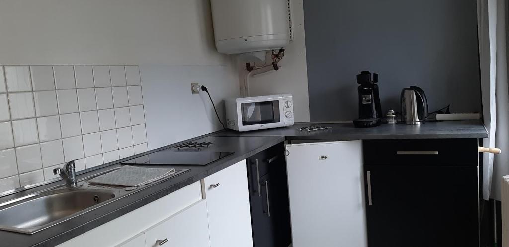 une petite cuisine avec un évier et un micro-ondes dans l'établissement studio lumineux axe centre ville facs chu, à Poitiers