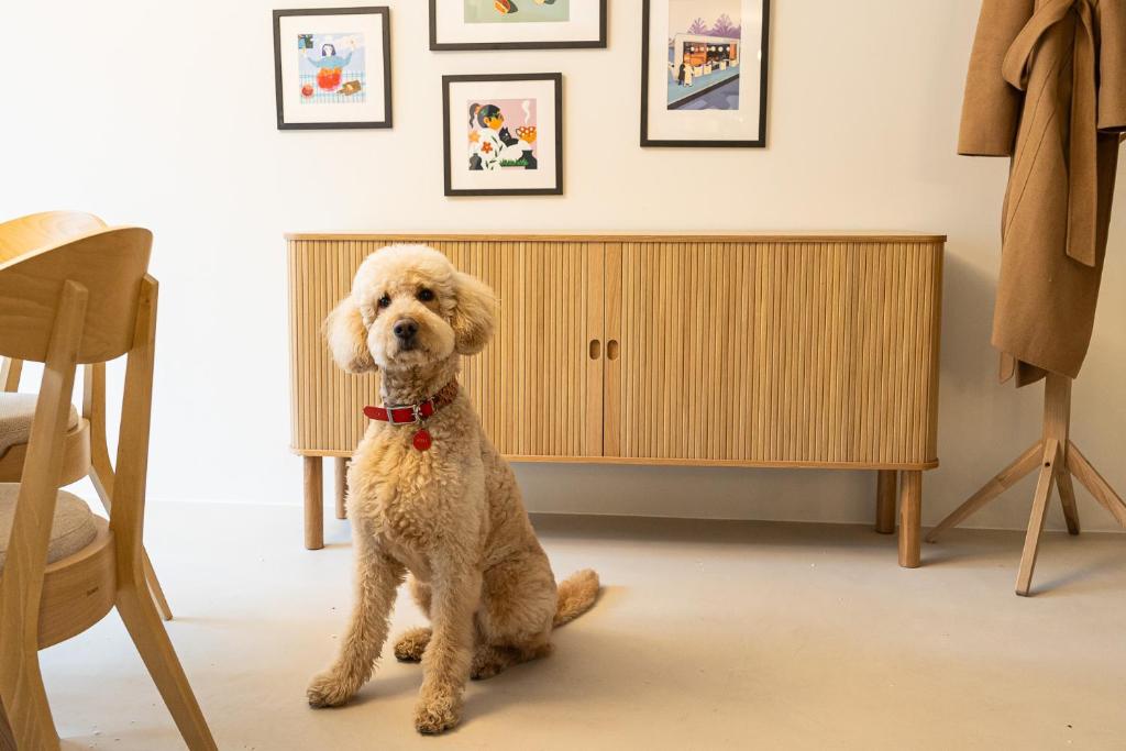 Chez Zeiza - Resim 11