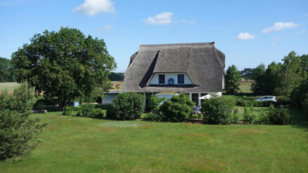 a house with a thatched roof with a yard at Haus an der Eiche in Wieck