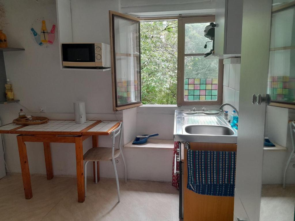 une petite cuisine avec un évier et une fenêtre dans l'établissement Appartement privatif en bord de rivière, à Figeac