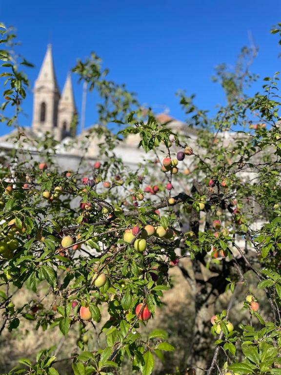 BORGANTHIA - IL CHIOSTRO DEI MEDICI - 7
