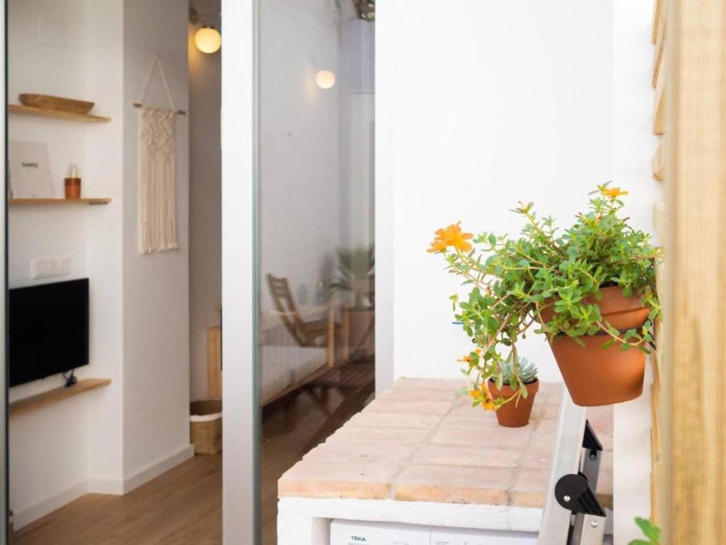 Casa Valenciana con Terraza - 10