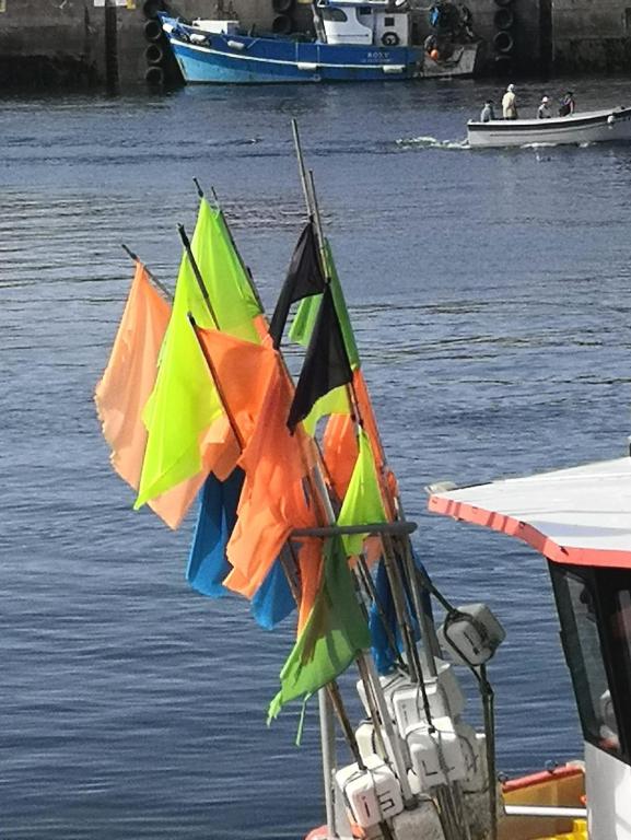 un groupe de parapluies colorés sur un bateau dans l'eau dans l'établissement La Maison de la Mer, à Plobannalec-Lesconil
