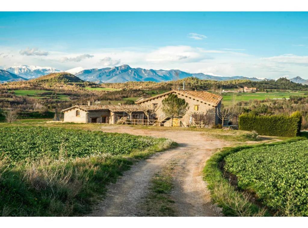 a dirt road in a field with mountains in the background at Cal Torrentí in Caserras