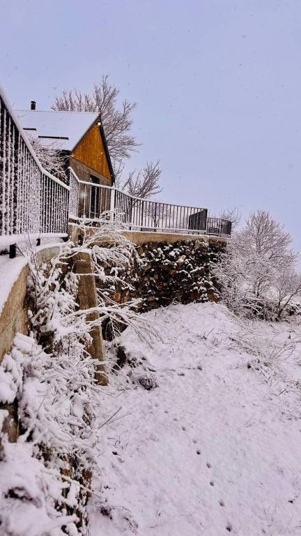 Todor Resort