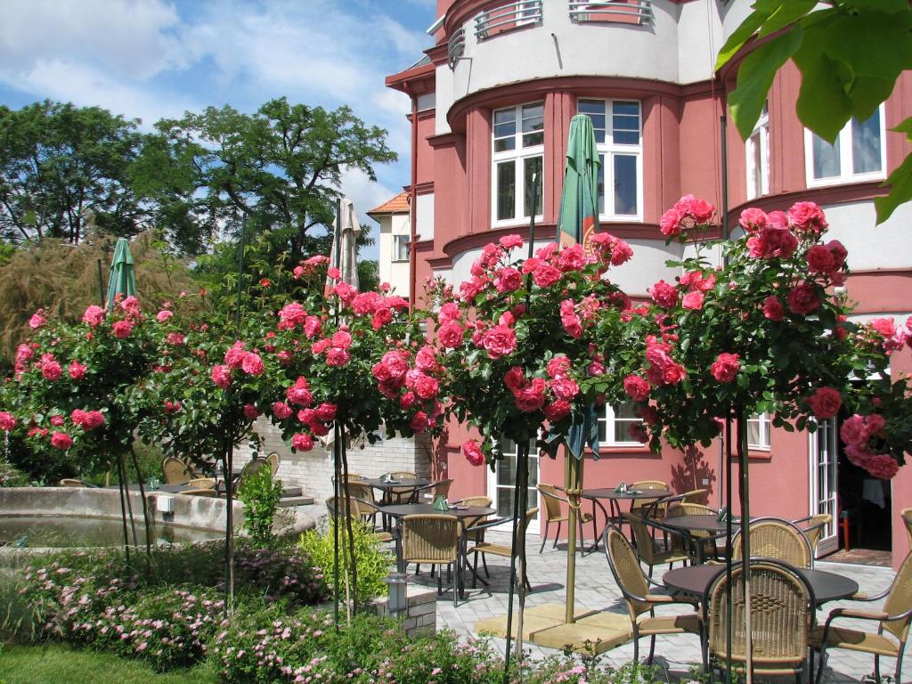 Hotel Villa - Resim 5