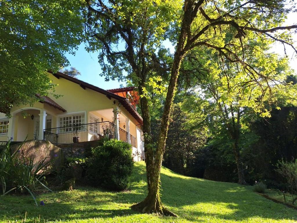 a white house with a tree in the yard at A Casa Serena in Morro Reuter
