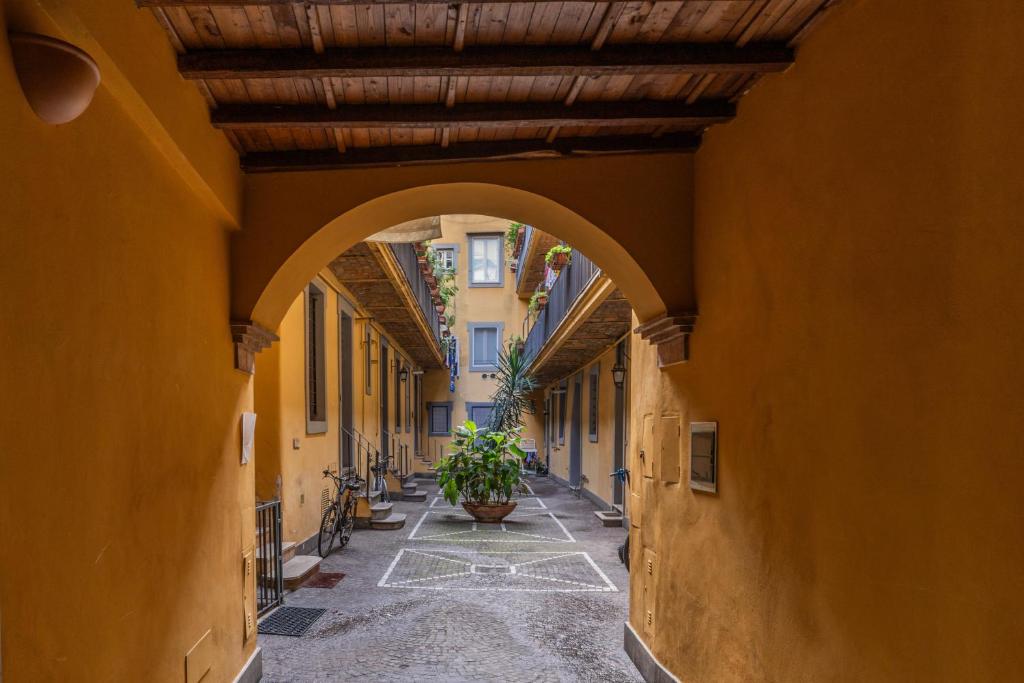 Domus Romano Piazza Farnese