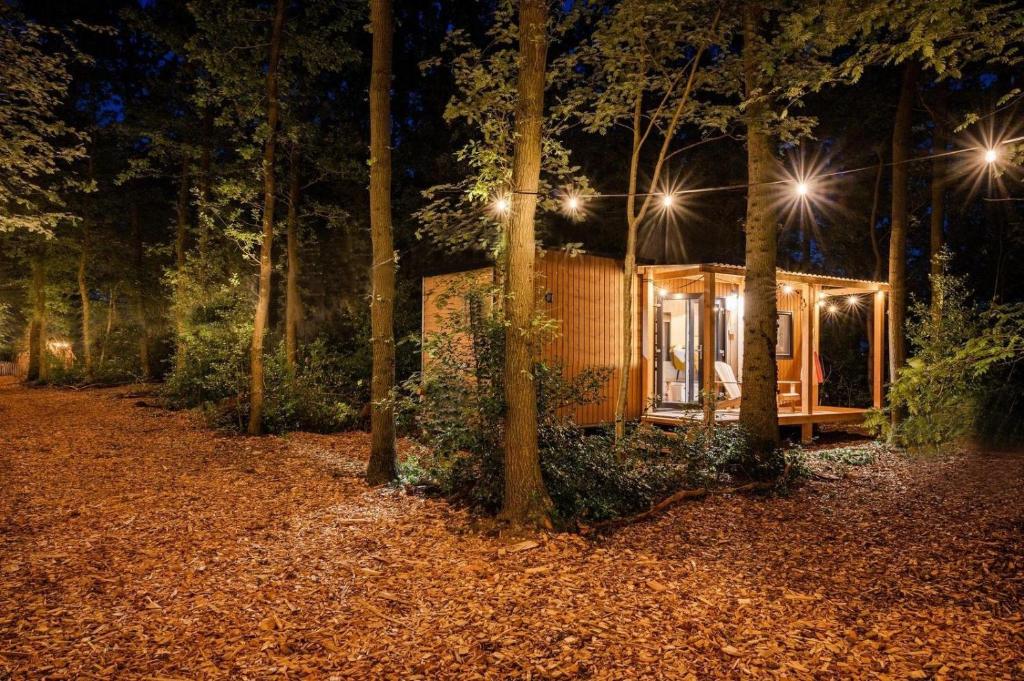 Zahrada ubytování Forest Cabin in the woods