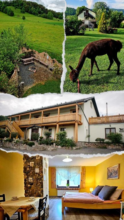 Fotografie z fotogalerie ubytování Agroturystyka Natura v destinaci Pilchowice