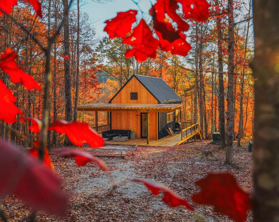 a cabin in the woods with red leaves in the foreground at Cozy Cabin Suite with Hot Tub in Frenchburg