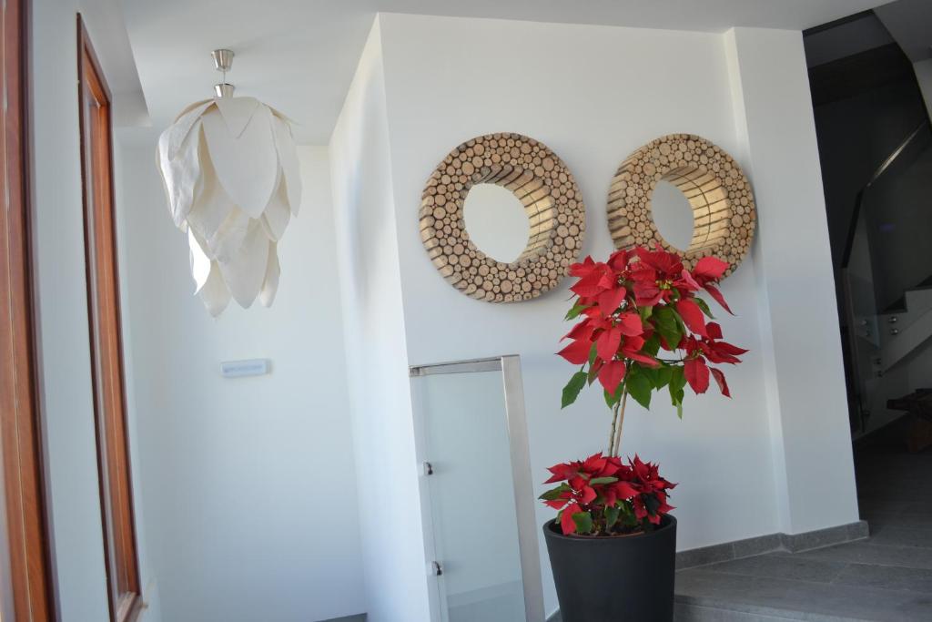 a hallway with two wreaths on the wall and a plant at El Baladero in Telde