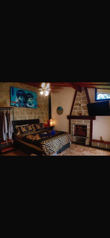 a bedroom with a bed and a fireplace at Minas Em Marambaia in Rio de Janeiro