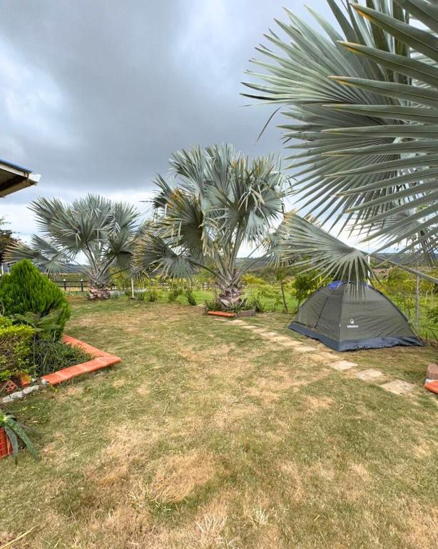 Casa Guanentina - Habitaciones familiares