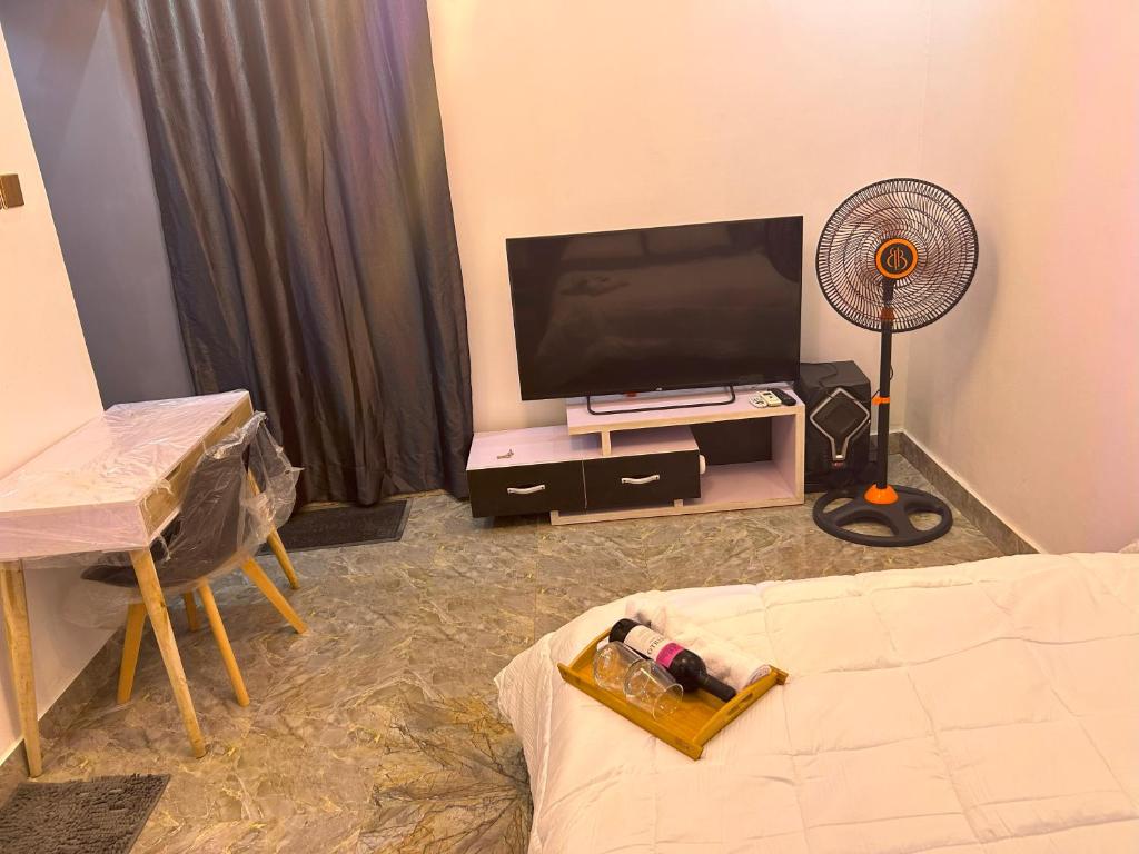 TV a/nebo společenská místnost v ubytování Pryme Apartment