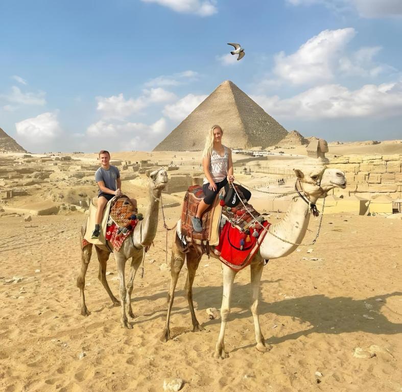 Hosté ubytování Pharaohs Oasis Hotel