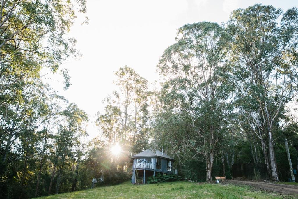 a house on a hill in a field with trees at Bluegums Cabins Barrington Tops in Bandon Grove