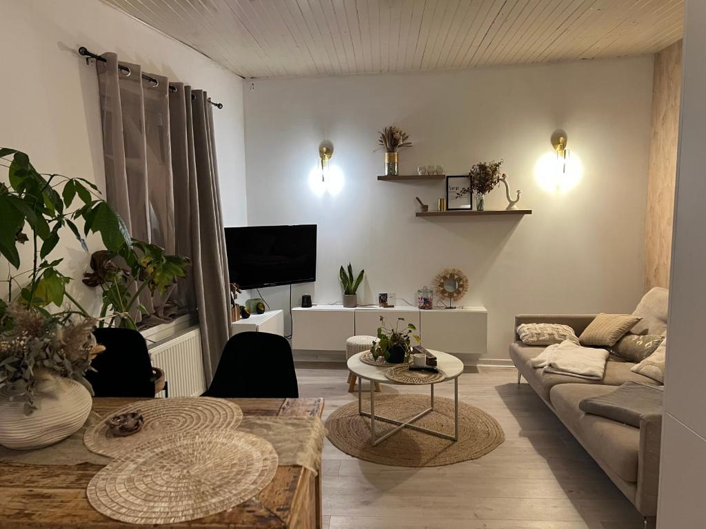 un salon avec un canapé et une table dans l'établissement Superbe appartement hypercentre Royale Châtelet, à Orléans