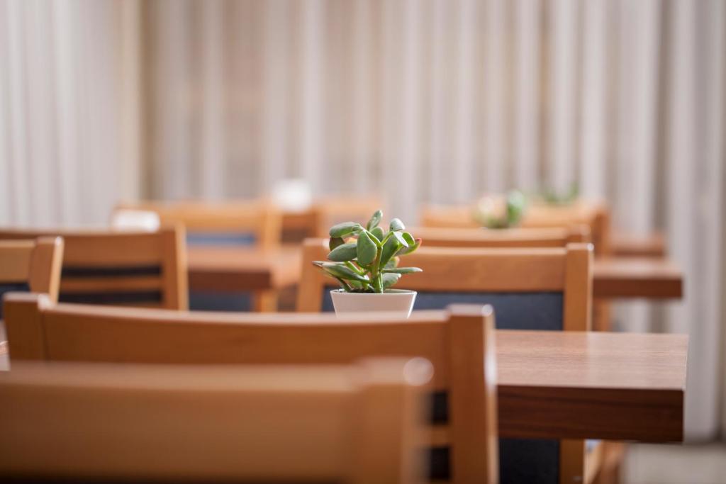 Telioni Hotel - Resim 13