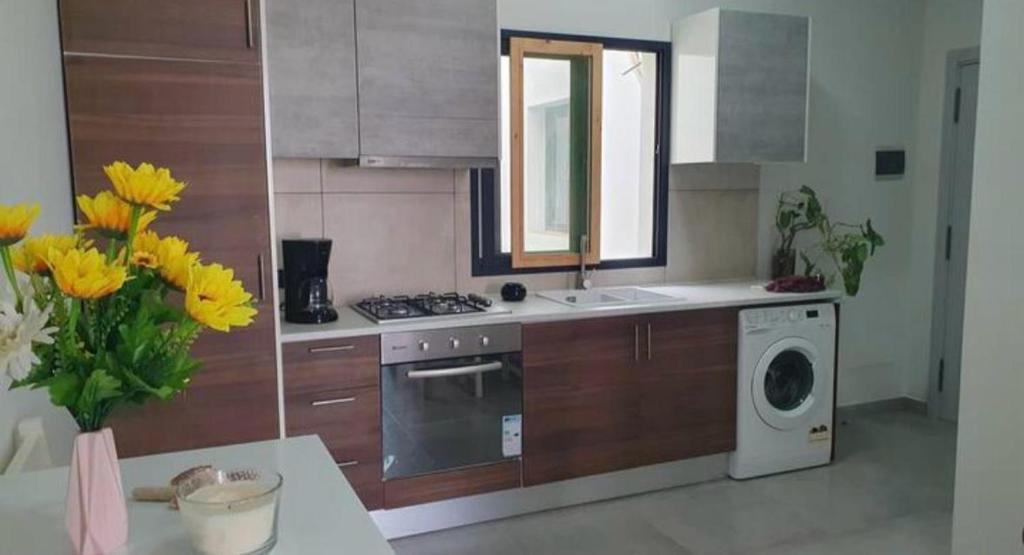 Kuchyň nebo kuchyňský kout v ubytování Sal Rei apartaments, Boa Vista, free WI-FI