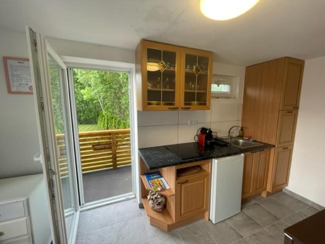 Kuchyň nebo kuchyňský kout v ubytování Astoria Lednice