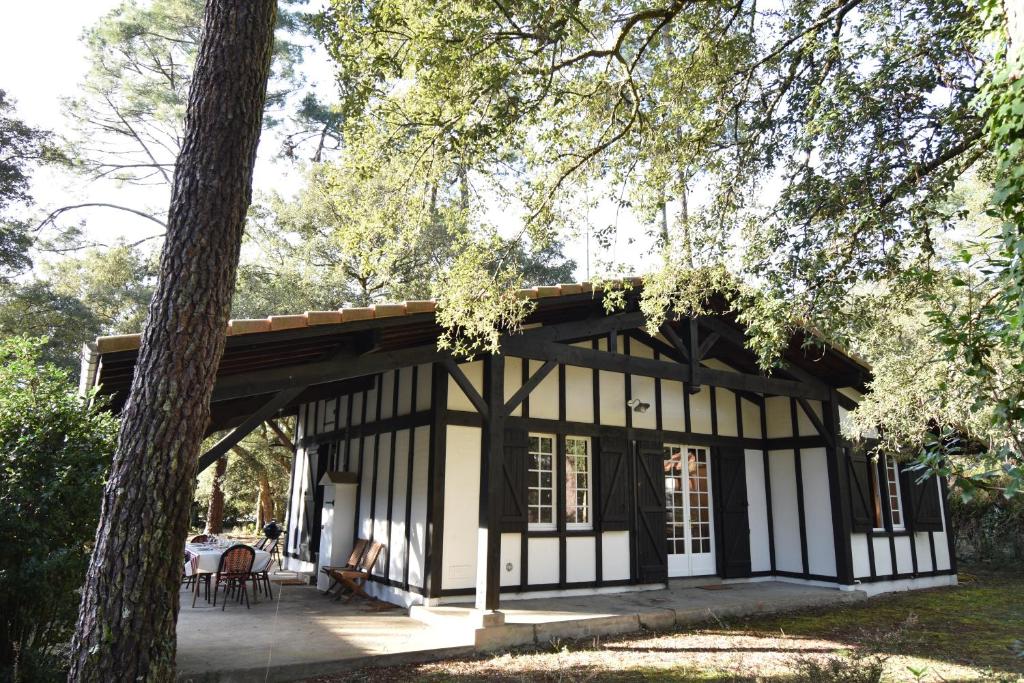 une maison noire et blanche avec un arbre dans l'établissement Hossegor « La landaise » Belle villa landaise pour 6 personnes., à Hossegor