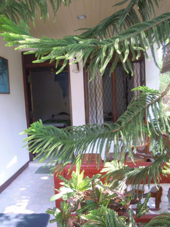 Zahrada ubytování Devi Tourist Home