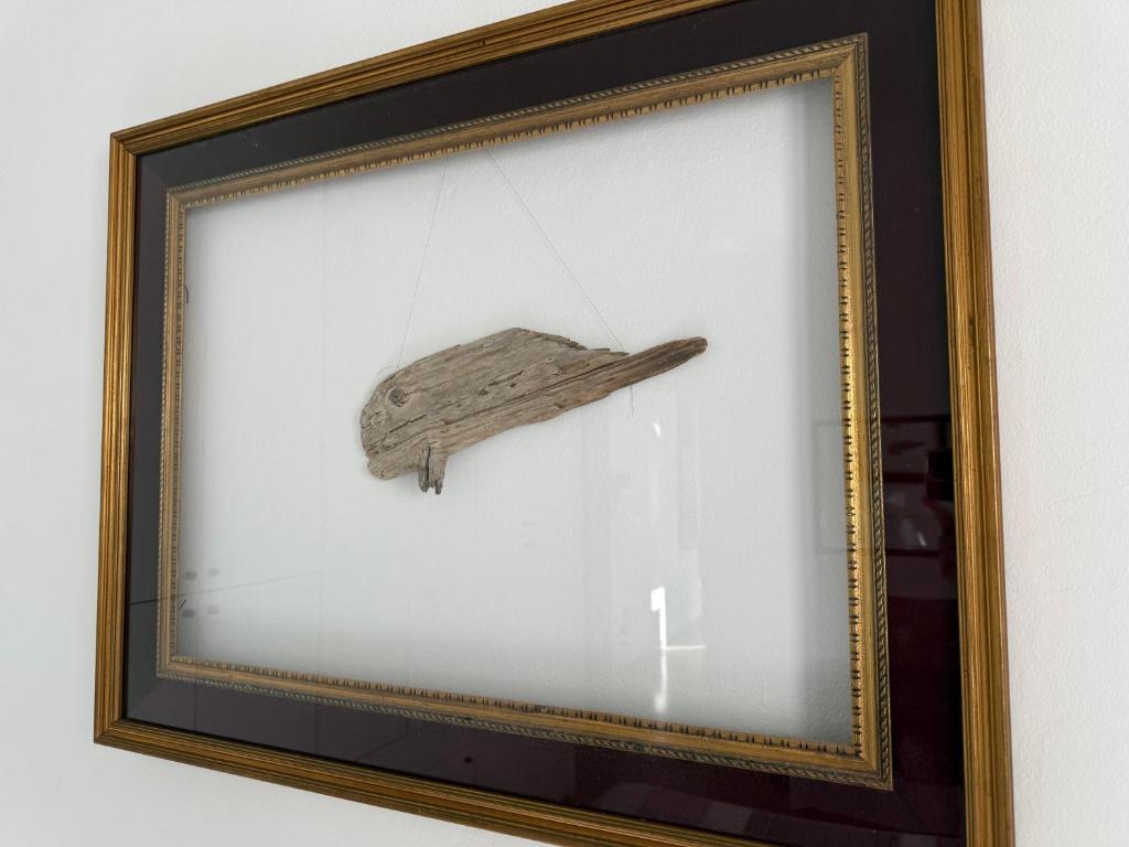 a picture of a branch in a frame on a wall at Il Pesce di Legno in Livorno
