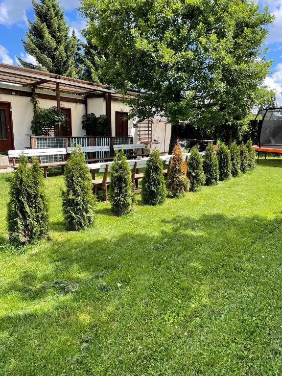 Zahrada ubytování Camp Alpa