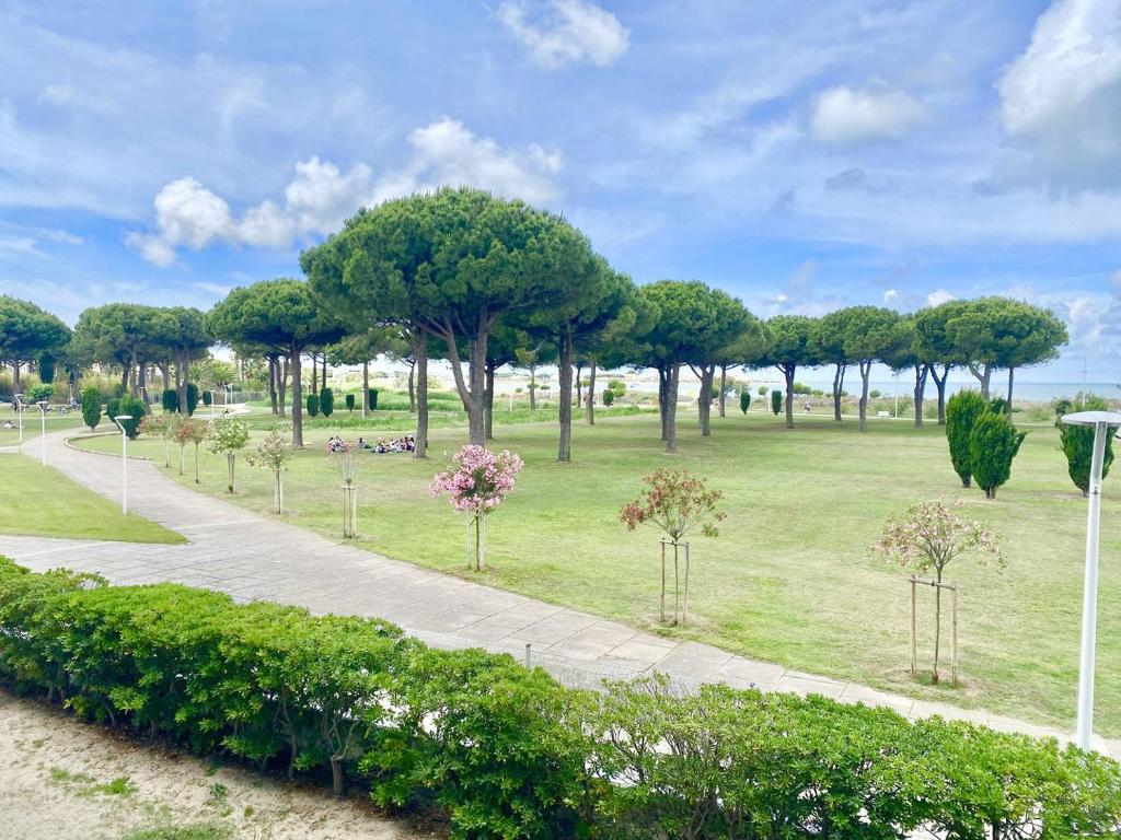 un chemin dans un parc planté d'arbres et de buissons dans l'établissement LE GRAU DU ROI - SECTEUR RIVES GAUCHE - APPARTEMENT 2 CHAMBRES VUE MER ET PARKING, au Grau-du-Roi