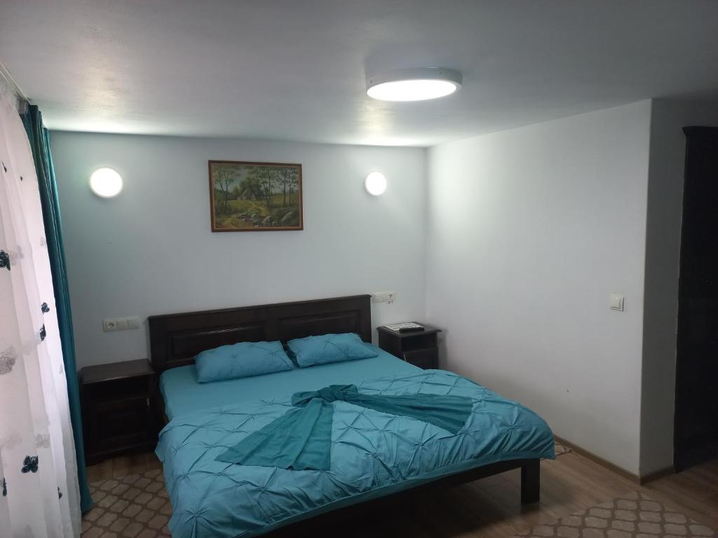 Postel nebo postele na pokoji v ubytování Casa de vacanță Perla Colibitei