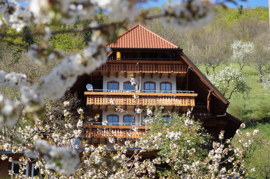 ein großes Holzhaus mit rotem Dach in der Unterkunft Ehrenmättlehof Faißt in Bad Peterstal-Griesbach