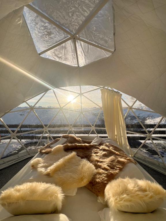 a table with food on it with a glass ceiling at Berghotel Pischa Mountain Lodge in Davos